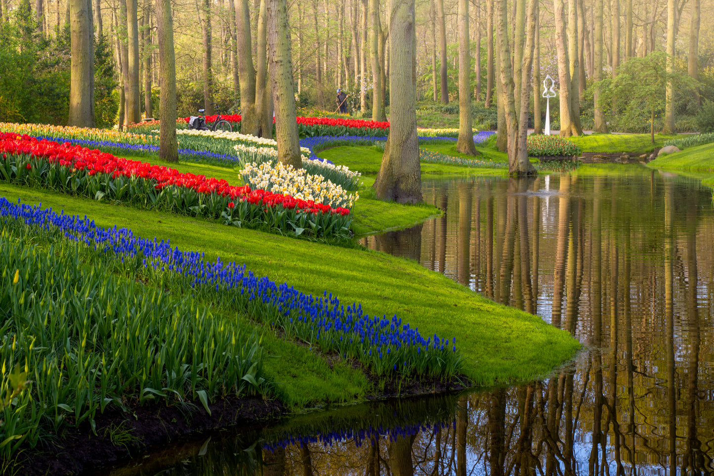 Empty Keukenhof Series #9