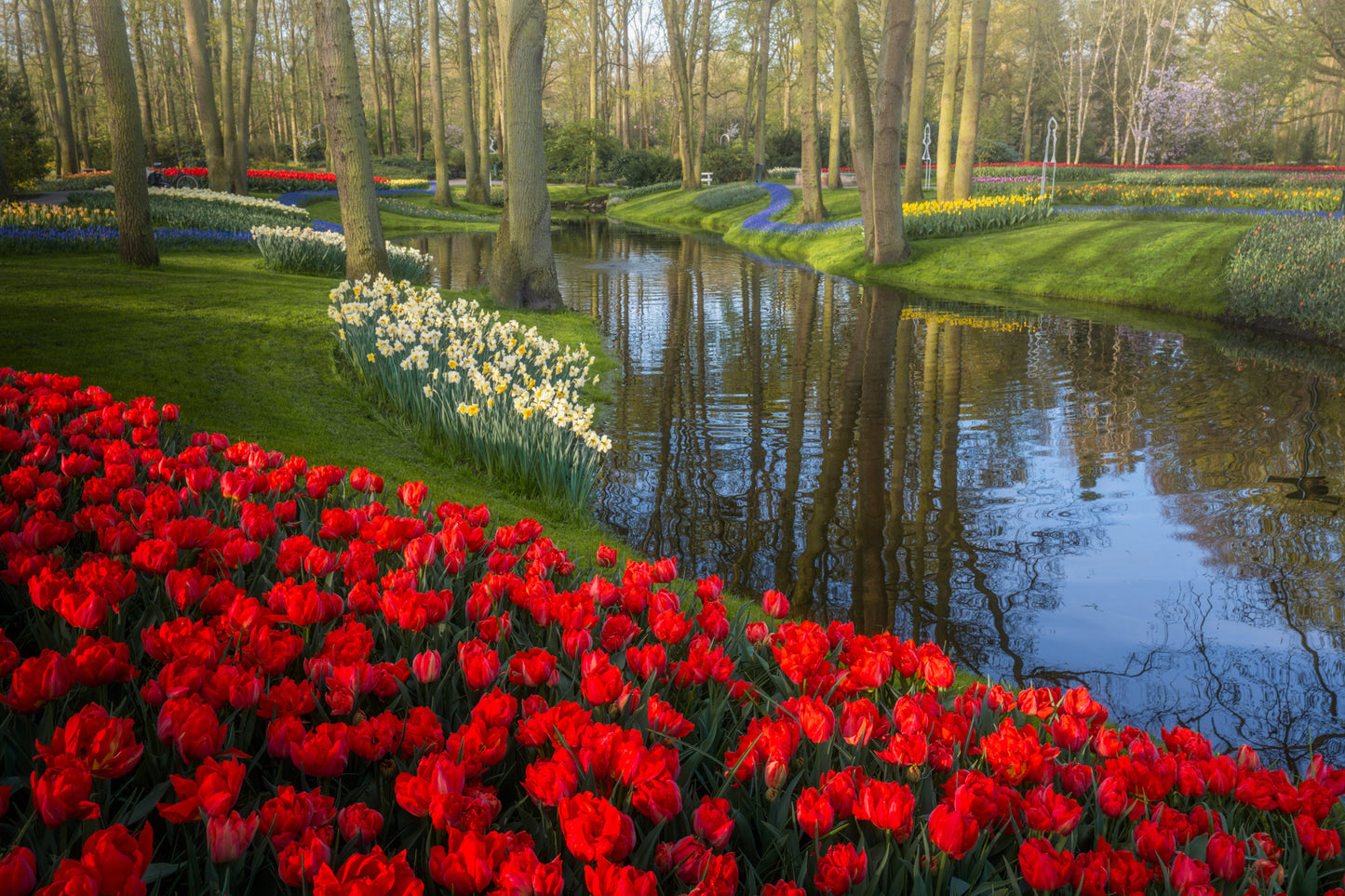 Empty Keukenhof Series #16