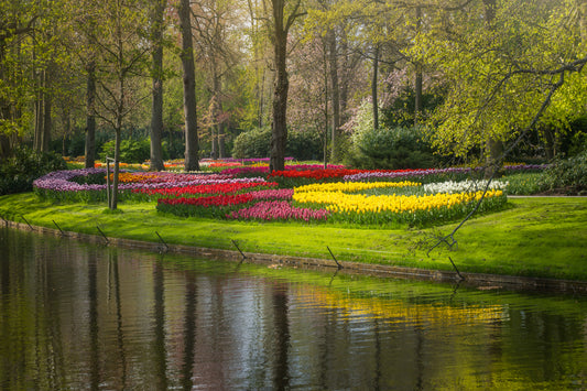 Empty Keukenhof Series #30
